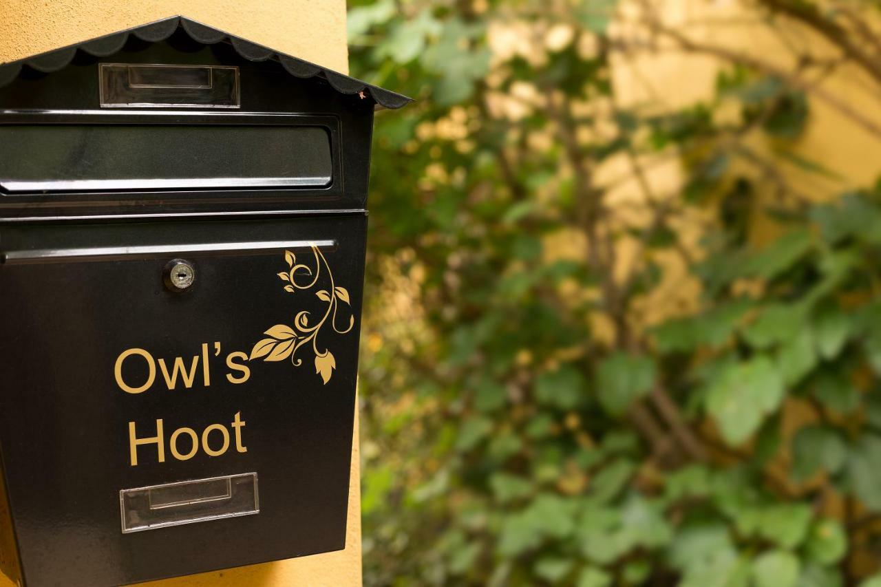 Villa Owl'S Hoot Thorndon Esterno foto